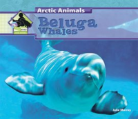 Beluga Whales by Murray, Julie