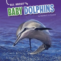All About Baby Dolphins by Rustad, Martha E. H
