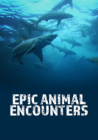 Epic Animal Encounters - Season 1 by Graves, Bill