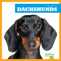 Dachshunds by Duling, Kaitlyn