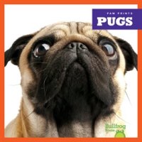 Pugs by Duling, Kaitlyn