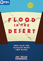 Flood in the desert 