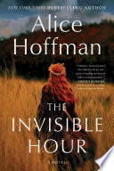 The invisible hour by Hoffman, Alice