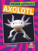 Axolotl by Culliford, Amy