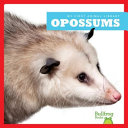Opossums by Schuh, Mari C