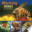 Working animals of the world by Gagne, Tammy