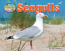 Seagulls by Lawrence, Ellen