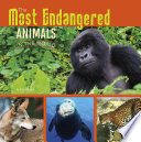 The most endangered animals in the world by Gagne, Tammy