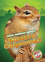 Eastern Chipmunks by Bowman, Chris