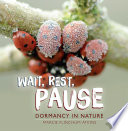 Wait, rest, pause by Atkins, Marcie Flinchum