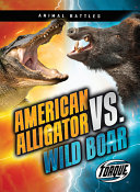 American alligator vs. wild boar by Sommer, Nathan