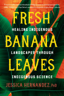 Fresh banana leaves by Hernandez, Jessica