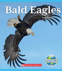Bald eagles by Roome, Hugh