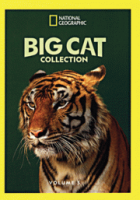 Big_cat_collection