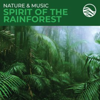 Nature & Music: Spirit Of The Rainforest by David Arkenstone