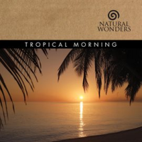 Tropical Morning by David Arkenstone