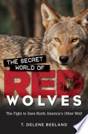 The_secret_world_of_red_wolves