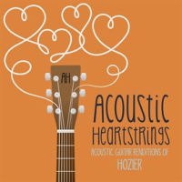 Acoustic Guitar Renditions of Hozier by Acoustic Heartstrings
