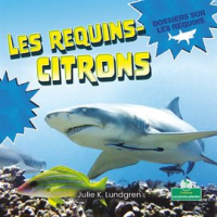 Les requins-citrons by Lundgren, Julie K